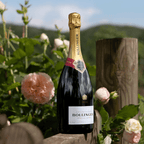 Champagne Bollinger Special Cuvée - Magnum Gift Box