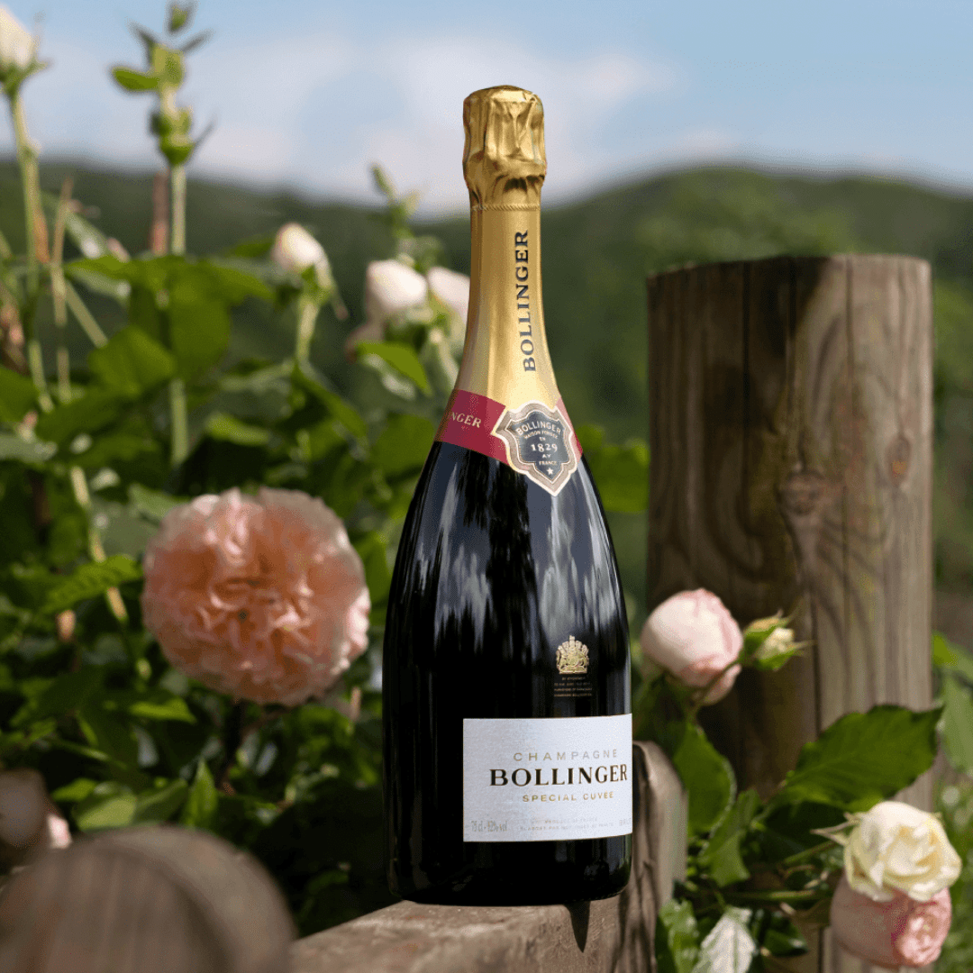 Champagne Bollinger Special Cuvée - Magnum Gift Box