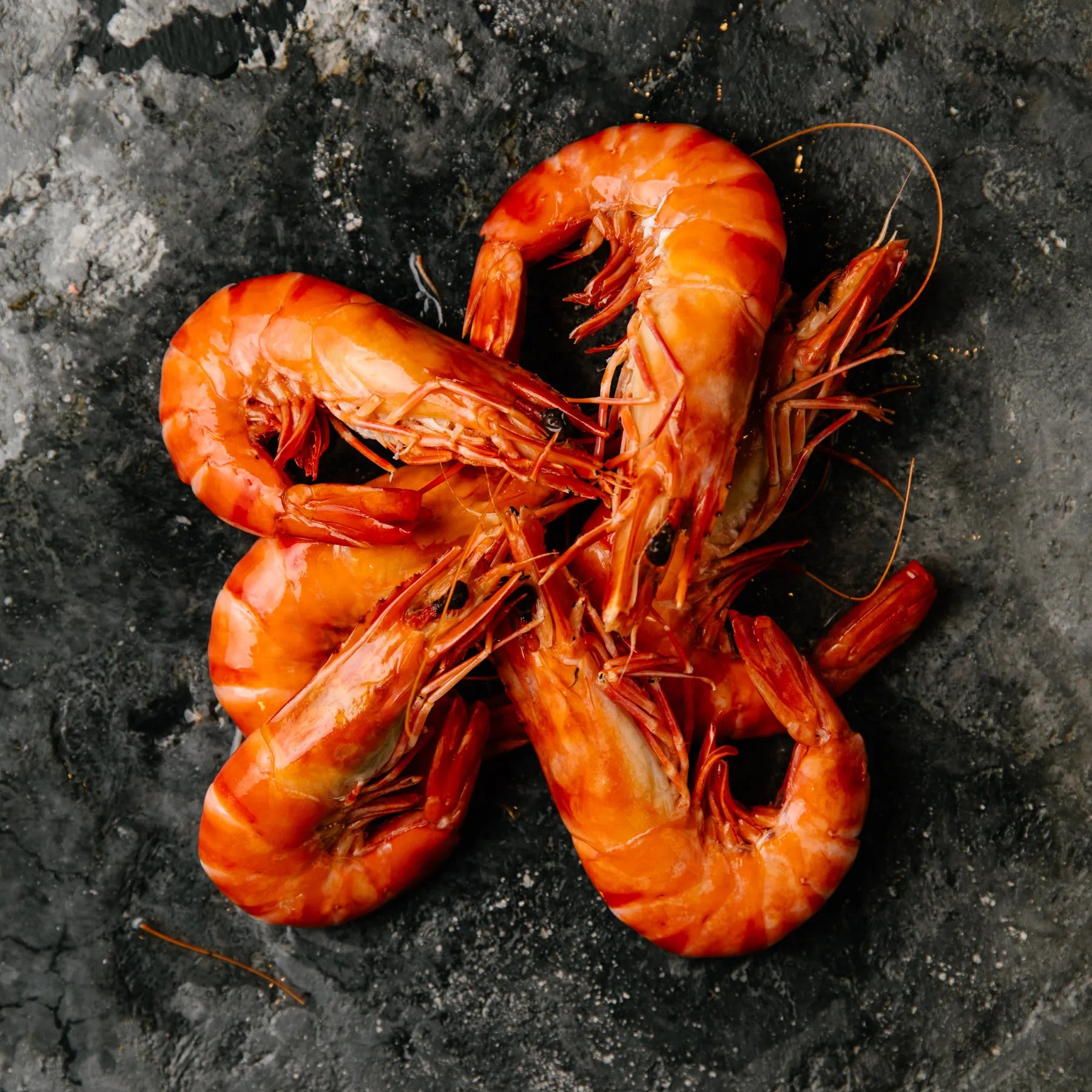 Large Tiger Prawns